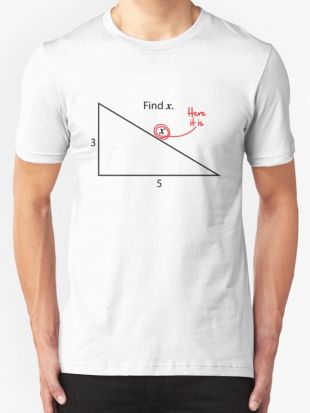 ‘Trouver X’ T shirt by DetourShirts