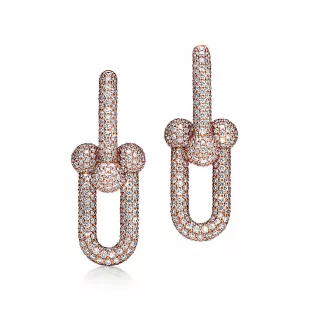 Large Link Earrings