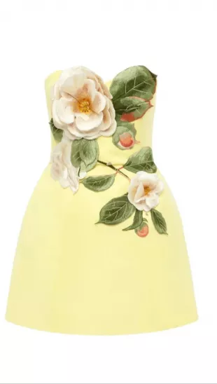 Appliqué Floral Bustier Mini Dress in Yellow