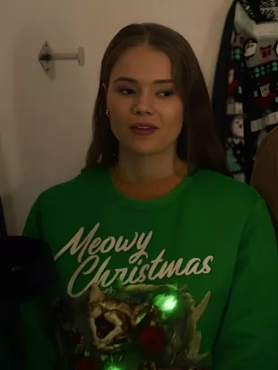 A Royal Icing Christmas Ellise Roth Cat Green Sweater