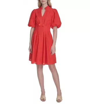 Floral Embroidered Puff Sleeve Cotton Fit & Flare Dress