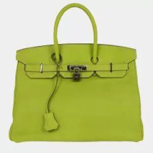 Pelouse Alligator Birkin 35