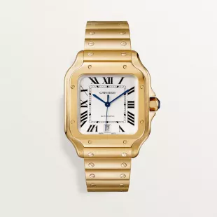 Santos de Cartier watch