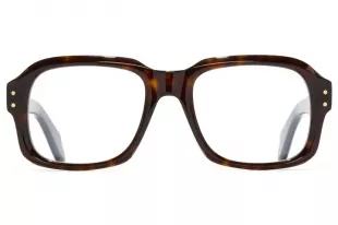 Tortoise Shell Glasses 9852