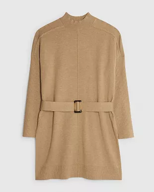 Brown Belted Jumper Dress
