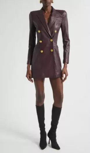 Tora Leather Blazer Dress
