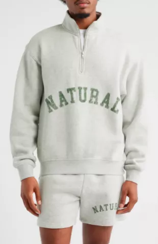 Arch Pigment Dyed Half Zip Graphic Sweatshirt