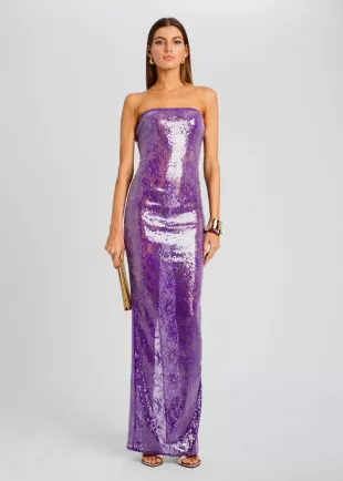 Lucia Sequin Lace Dress