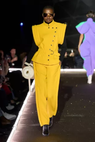 Fall 2025 Yellow Jacket