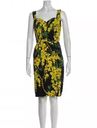 Floral Print Knee Length Dress