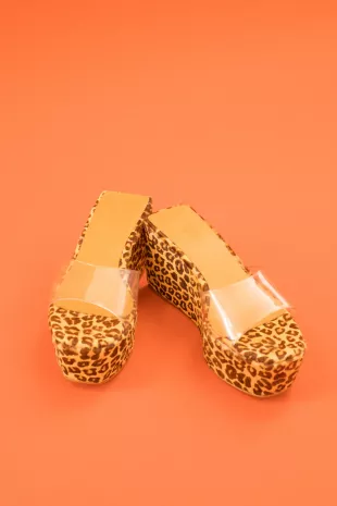 The Rocky Puss Shoes