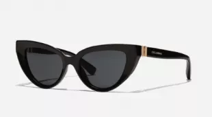 Hinge Sunglasses