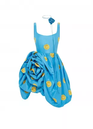 Kylee Embroidered Rose Mini Dress