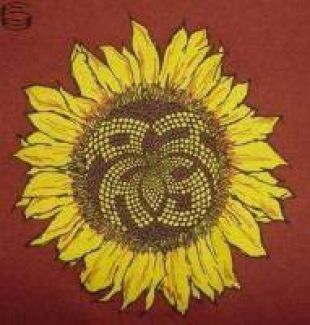 t-shirt Phish Sunflower of James Franco 