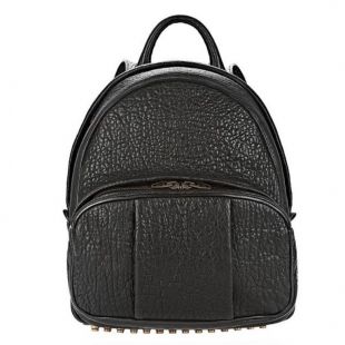 Alexander Wang Dumbo Alexander Wang Backpack Bag Dumbo Rhodium Alexander Wang Dumbo Alexander Wang Backpack Bag Dumbo Rhodium