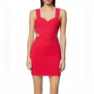 Cut Out Ottoman Mini Dress