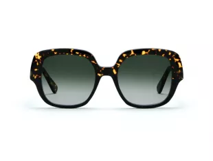 Agave Black Havana Sucro 09B Green Gradient