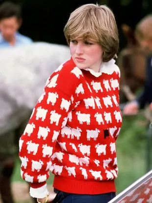 Diana Black Sheep Sweater