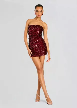 Nolia Sequin Embellished Dress
