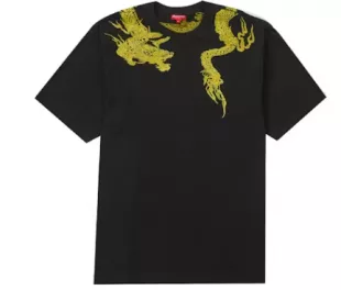 Dragon Wrap Short-Sleeve Top