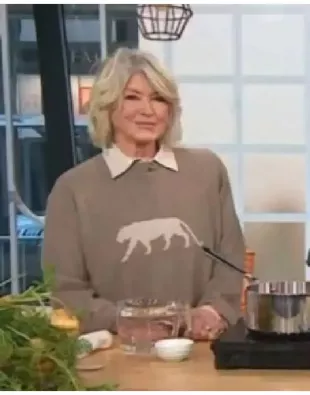 The Today Show Martha Stewart Beige Tiger Cashmere Sweater