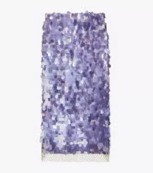 Sequined Skirt