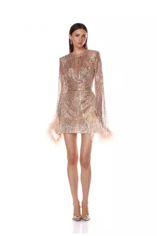 Tokyo Feather Champagne Mini Dress