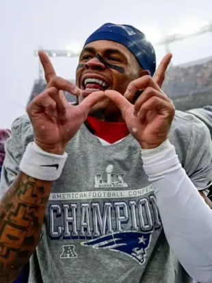 Patriots AFC Championship Gray Shirt