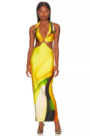 x Revolve Gaia Long Dress