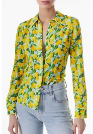 Willa Silk Button-Up Shirt