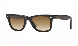 Original Wayfarer Classic