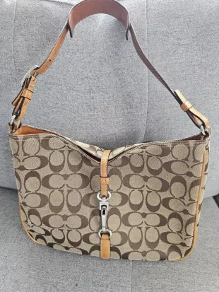 Hampton Hobo Tan/Beige/Brown Bag Purse