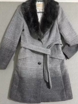 Today 2026 Dylan Dreyer Grey Ombre Coat