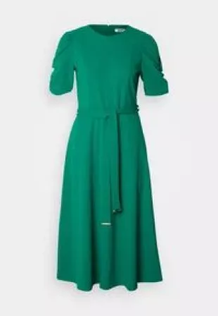 Ruched-Sleeve Belted Fit and Flare Midi Dress