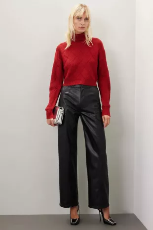 Red Turtleneck Sweater