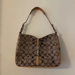 Hampton Hobo Tan/Beige/Brown Bag Purse