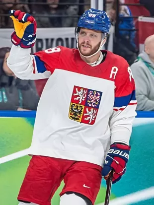 Winter Olympics 2026 Team Czech Republic Ice Hockey Jersey