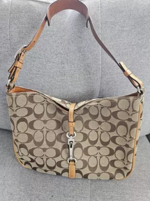 Hampton Hobo Tan/Beige/Brown Bag Purse