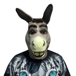 The Mask Of The Donkey In The Animated Film Shrek Spotern