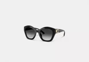Maxi Sculpted C Oversized Geometric Sunglasses