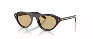 Brown Tortoiseshell Sunglasses