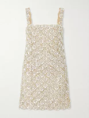 Embroidered Mini Dress