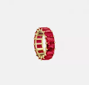 The Colored Band