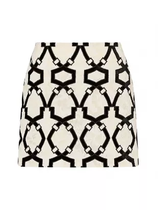 Jayla Flocked Velvet Lace Miniskirt