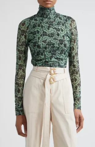 Long Sleeve Shirred Mesh Turtleneck Top
