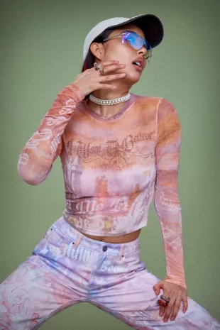Fairytale Printed Multicolor Mesh Crop Top
