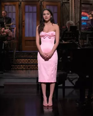 Custom Pink Corset Midi Dress