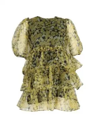 Ruffled Tiered Floral-print Mini Dress
