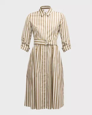 Kodak Stripe Belted Cotton Poplin Shirtdress