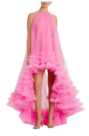 Women's Tulle High Neck Sleeveless Ruffled Hem Hi Lo Gown